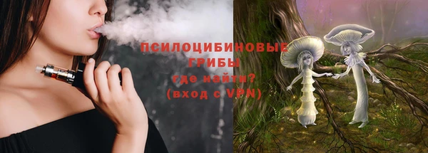 хмурый Алзамай