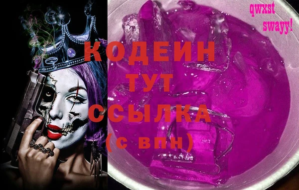 хмурый Алзамай