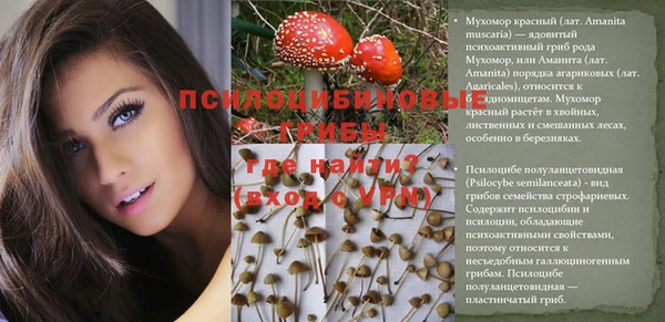 каннабис Алексин