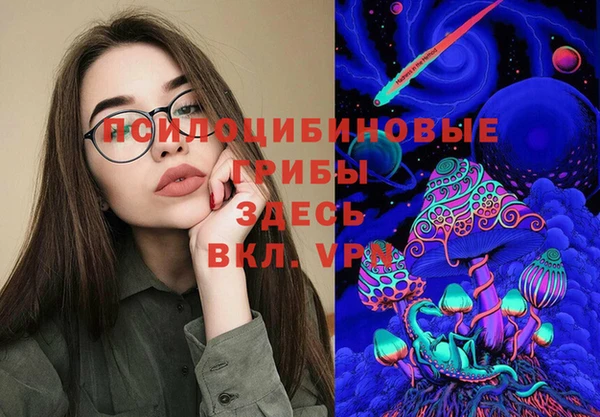 хмурый Алзамай