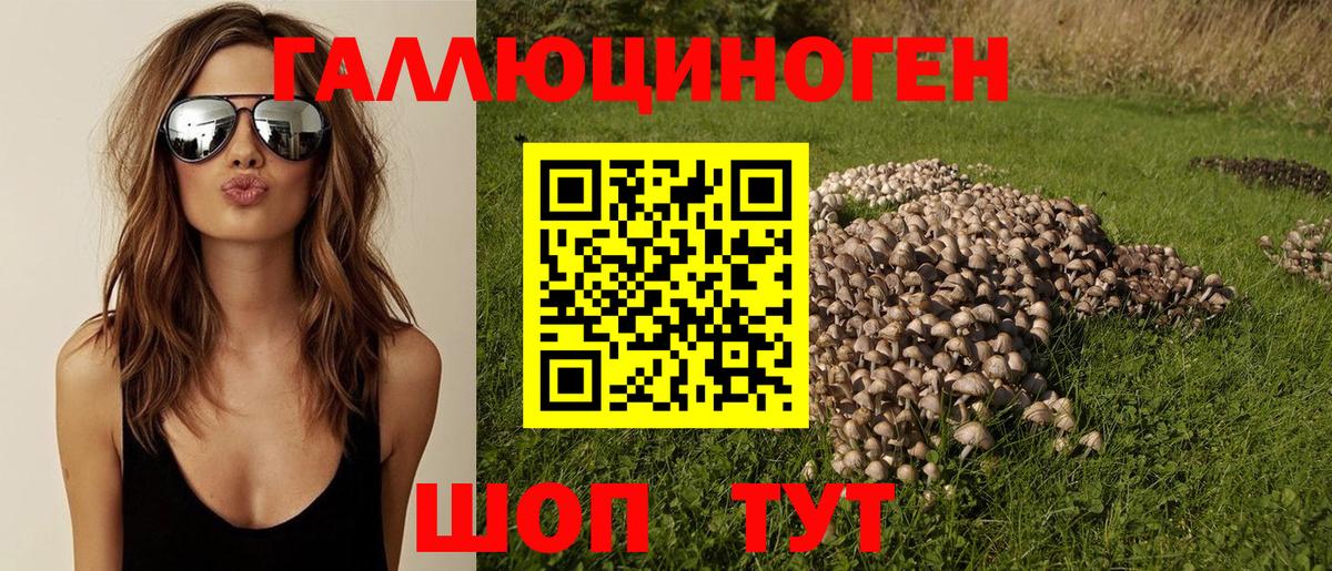Псилоцибиновые грибы мицелий  Вход с VPN  Кимры  Псилоцибиновые грибы Psilocybe 
