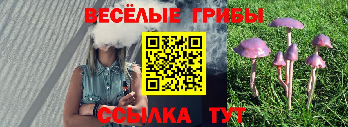 Псилоцибиновые грибы прущие грибы Кимры